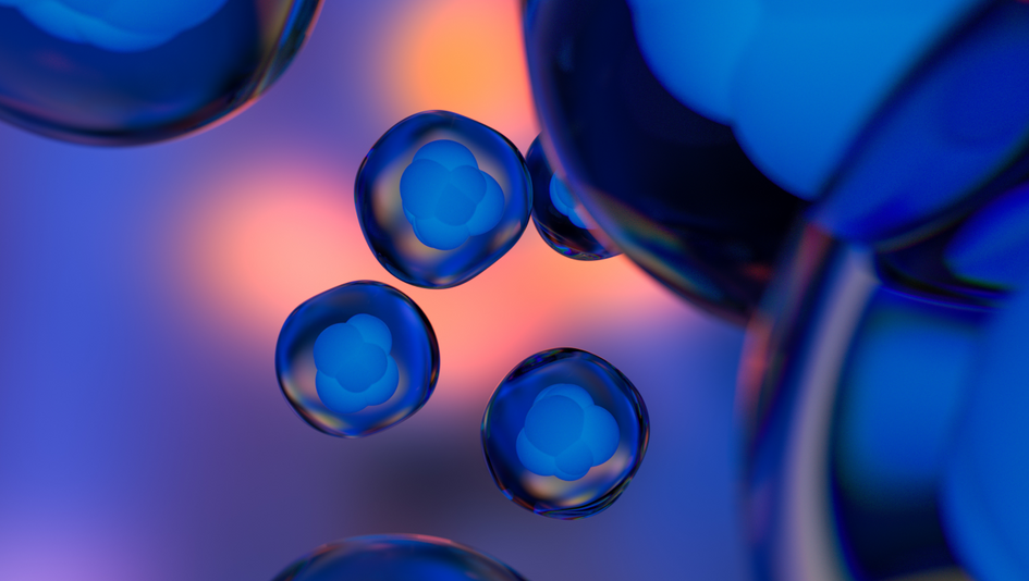 What Is Cellular Health and Why Is It Important?