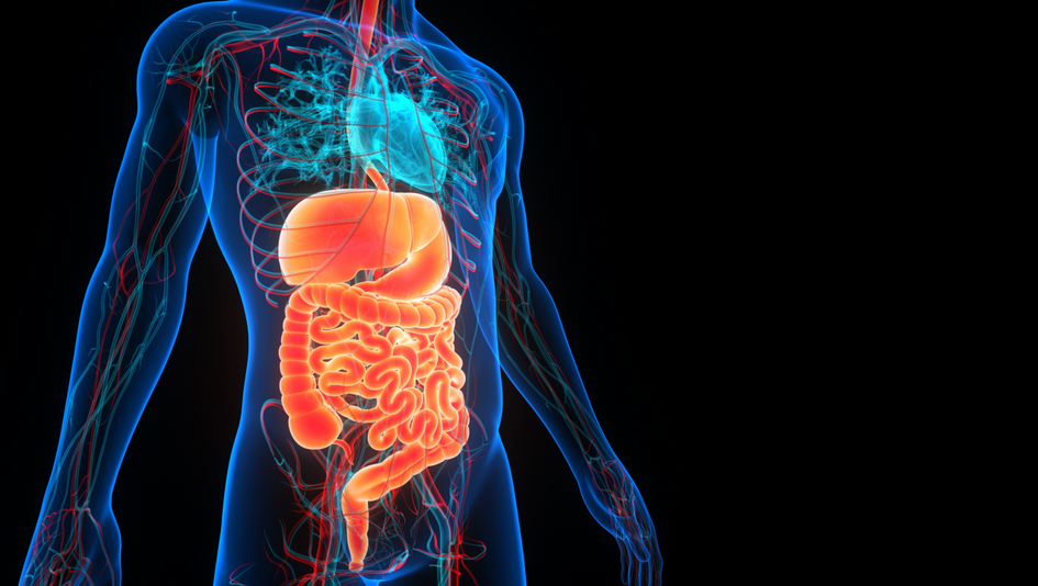 How To Make Food Digest Faster: Tips for a Healthier Gut