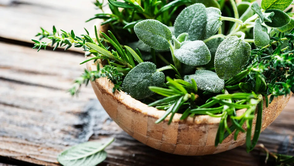 12 Herbs To Improve Your Focus