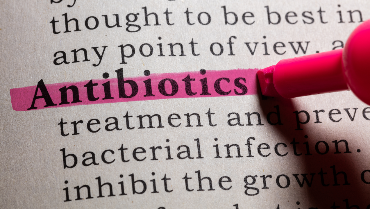 Do Antibiotics Make You Tired Everything You Need To Know L Evate You   Antibiotics 