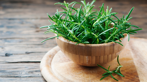 8 Best Herbs for Digestion To Soothe Your Stomach