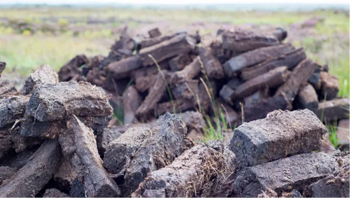 What Is Ancient Peat and Apple Fruit Extract?
