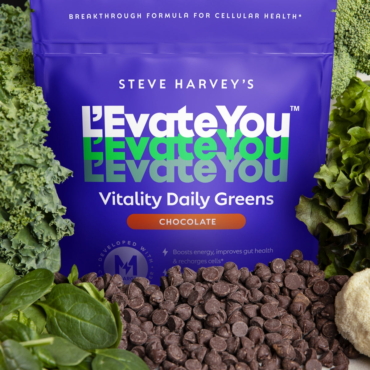 Vitality Daily Chocolate Greens Powder Levate You